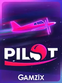 Pilot crash at HALO77 COM